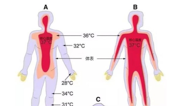 工業(yè)紅外測(cè)溫儀-便攜式熱成像測(cè)溫儀能用于體溫檢測(cè)嗎？